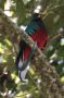 CostaRica06 - 030
